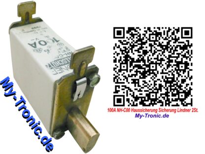 100A NH-C00 Haussicherung Sicherung Lindner 2St. My-Tronic.de GS1997 GS 1997 (6)